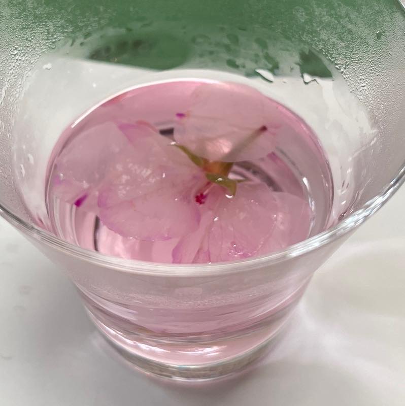 横輪桜の桜湯を飲みました