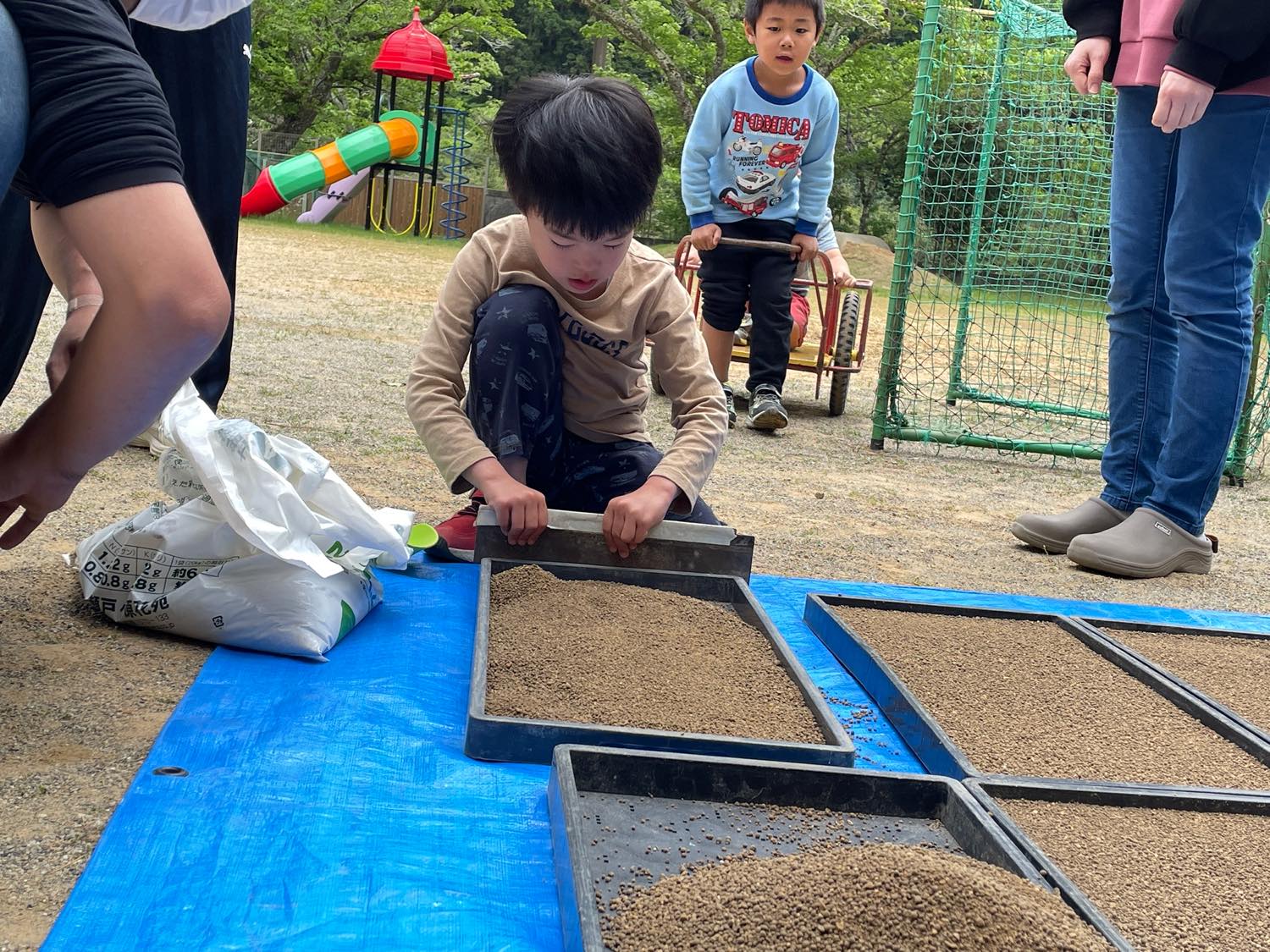 田植えの準備
