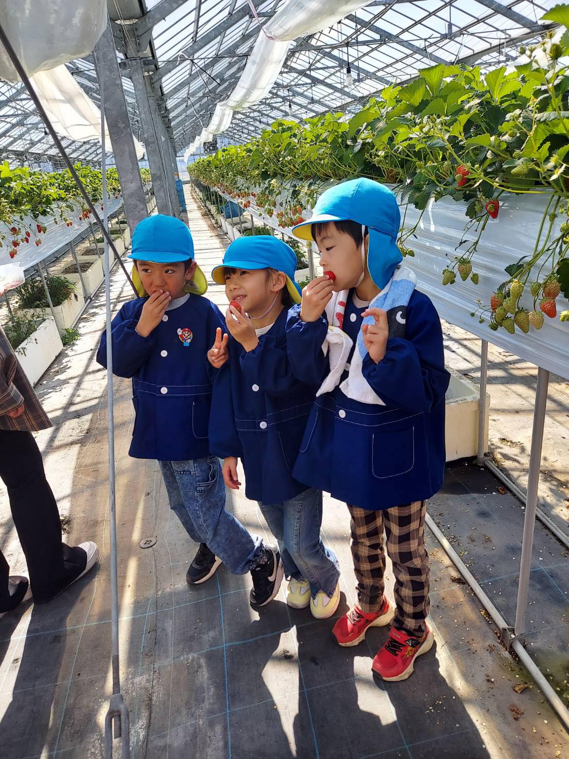 みんなでこれてよかったね