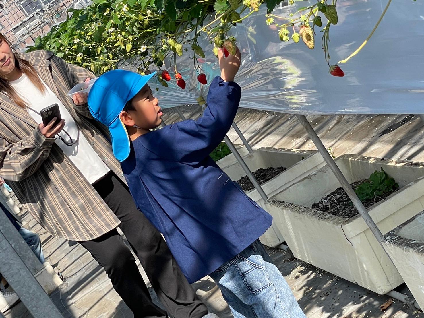 これおいしそう