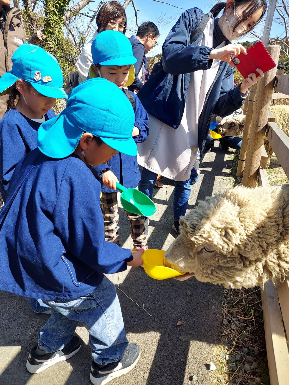 うわ!こっちにきた