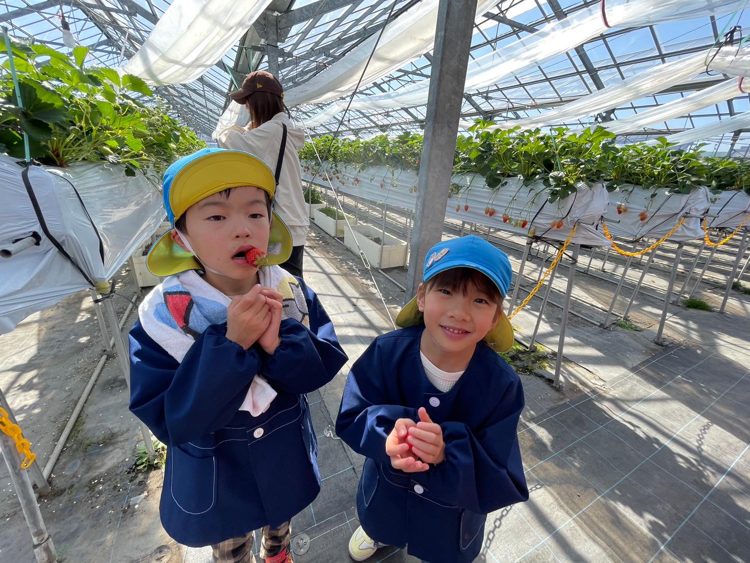 たくさん食べたよ